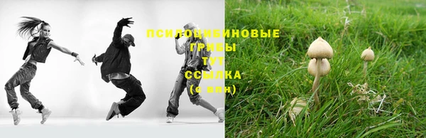 стафф Аркадак