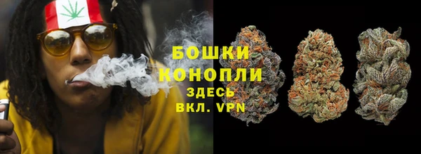 стафф Аркадак