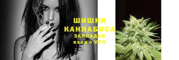 ECSTASY Дмитров