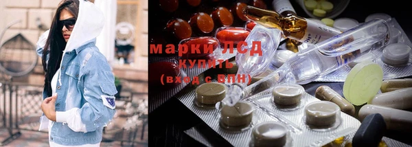 стафф Аркадак