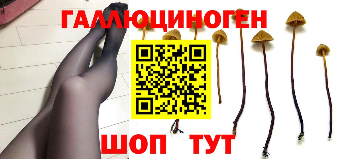 Галлюциногенные грибы прущие грибы  Вход с VPN  Мытищи 