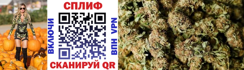 Каннабис ГИДРОПОН  Мытищи 